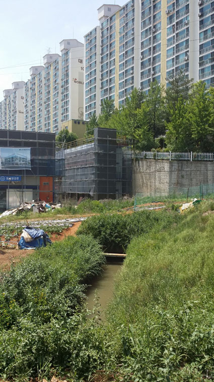 농업용수로 주변 농작물 경작시‘주의’