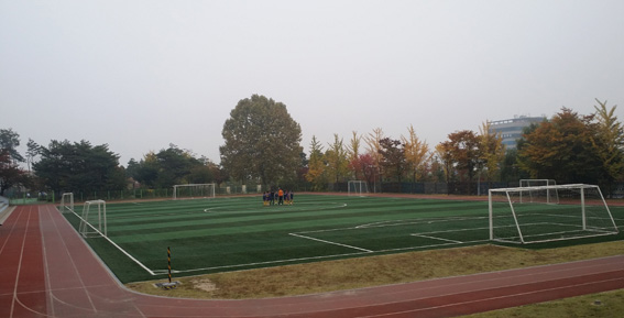 인조잔디구장, 자연 친화적 충진재로 교체해야