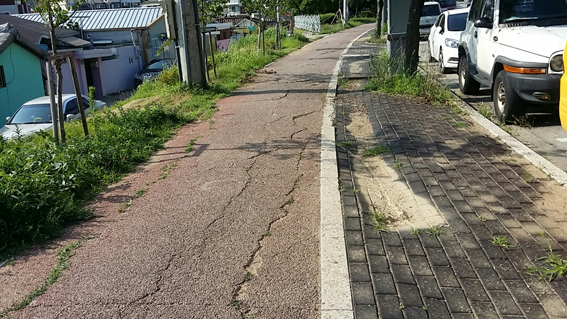 문산역 앞~선유과선교, 문산사거리~선유로터리간 자전거도로 정비