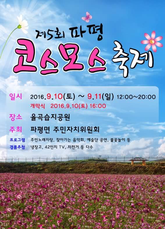 ‘제5회 파평 코스모스 축제’ 9월 10~11일 개최