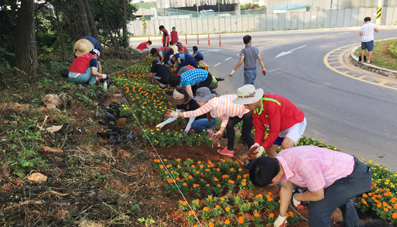 무관심한 땅 지역 주민이 함께 꽃밭으로 만든다