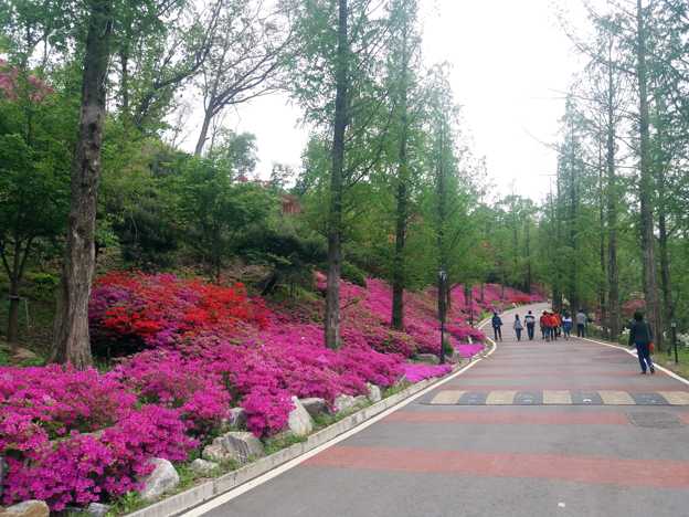 "동화힐링캠프 철쭉·벚꽃 축제" 힐링이 살아 있는 명소