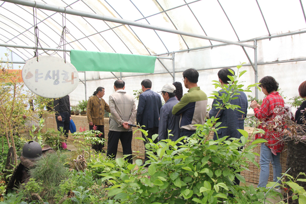 파주시야생화연구회, “봄꽃 전시회” 개막